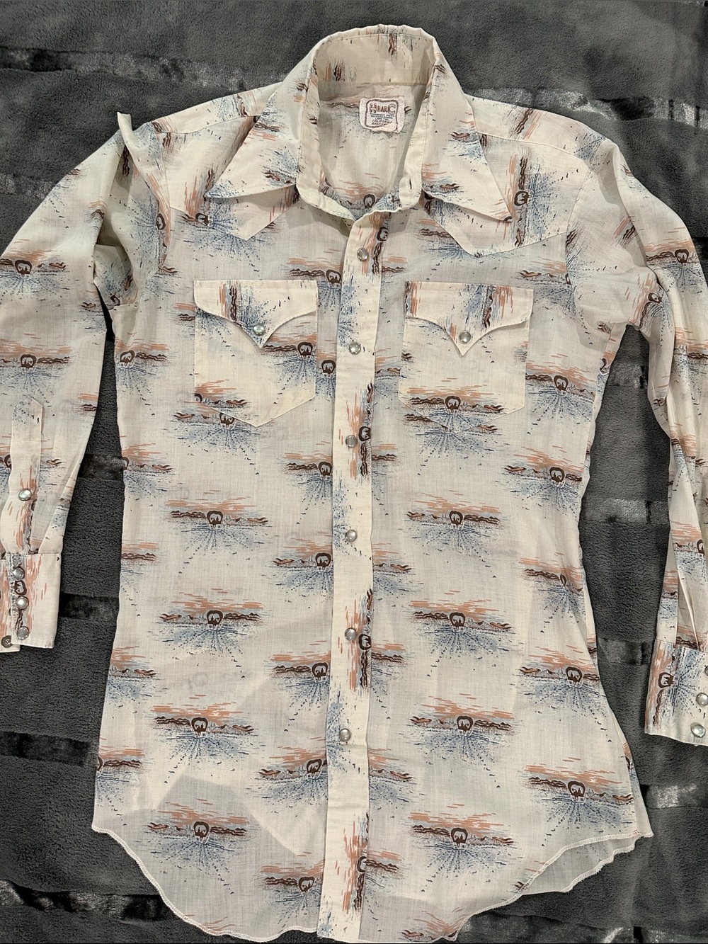 Vintage H Bar C Lightweight Covered Wagon Print Western Snap Shirt 🏜️